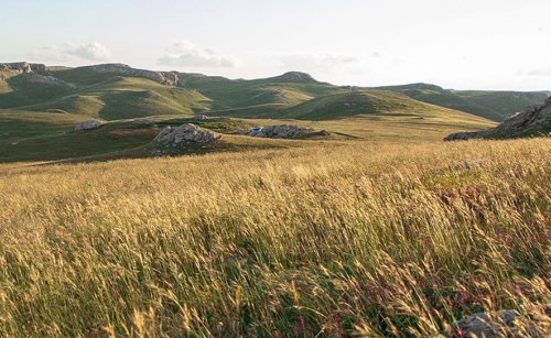 Arı ekmeği kaç yaşında kullanılır?