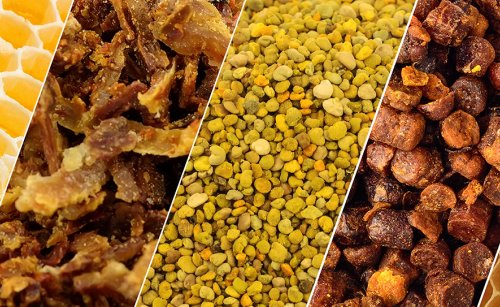 Propolis ve Kanser: Doğanın Mucizesi ile Kanserle Savaş