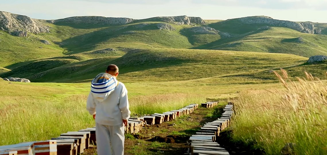 Sürdürülebilir Arıcılık ve Geleceği